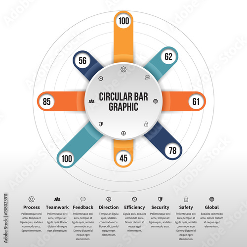 Circular Bar Graphic