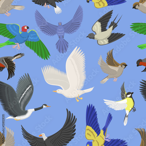 Set of different wing wild flying birds seamless pattern