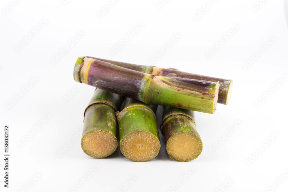 Close up of sugar cane in isolated white background