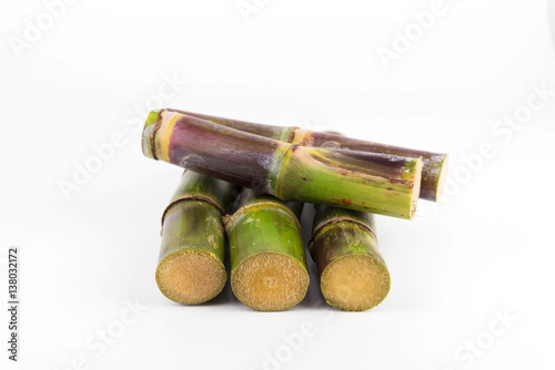 Close up of sugar cane in isolated white background