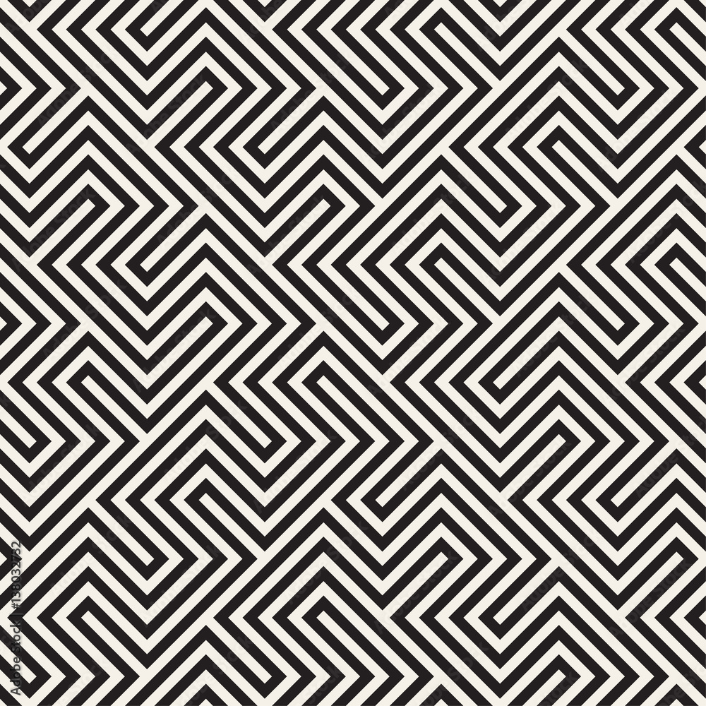 Trendy Monochrome Line Lattice. Vector Seamless Black and White Pattern.