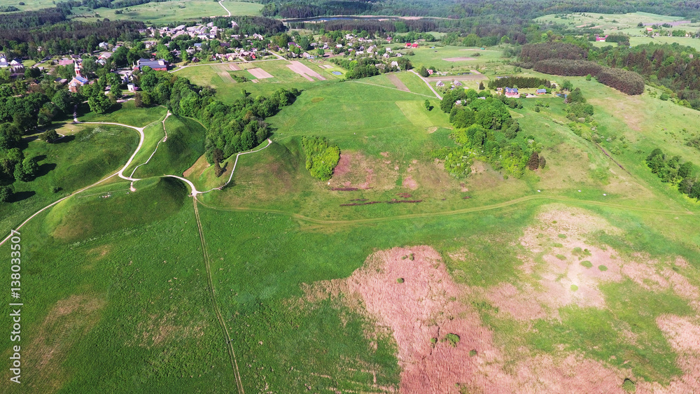  field,  trees and road