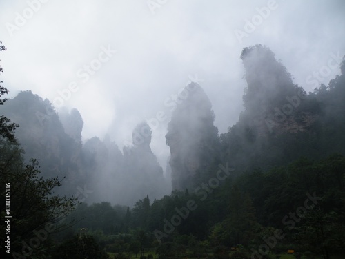 Green mountain forest landscape. Fog. © Xiaoneng
