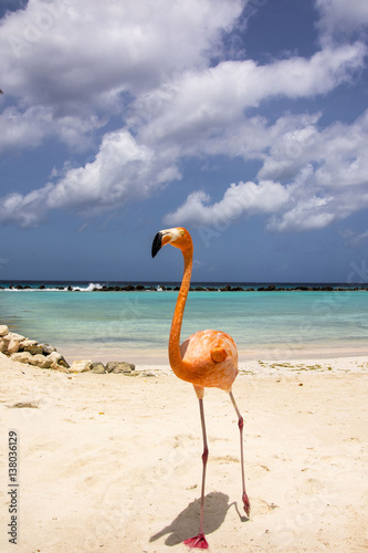 Obraz na płótnie karaiby plaża morze fala