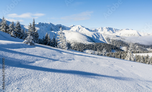 Forest and mountains in winter. © gubernat