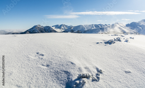 Peaks emerging from a snow ridge. © gubernat