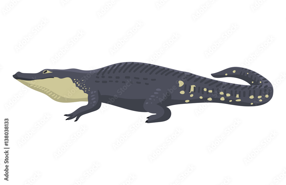 Cartoon green crocodile danger predator and australian wildlife river reptile carnivore alligator with scales teeth flat vector illustration. Cartoon green crocodile danger predator and australian wildlife river reptile carnivore alligator with scales teeth flat vector illustration.