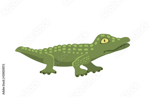 Cartoon green crocodile danger predator and australian wildlife river reptile carnivore alligator with scales teeth flat vector illustration.