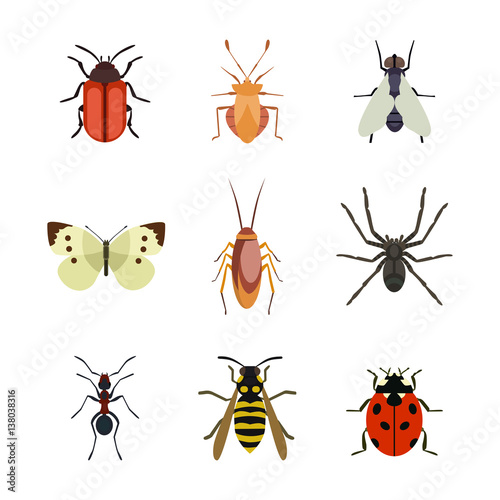 Insect icon flat isolated nature flying butterfly beetle ant and wildlife spider grasshopper or mosquito cockroach animal biology graphic vector illustration. © partyvector