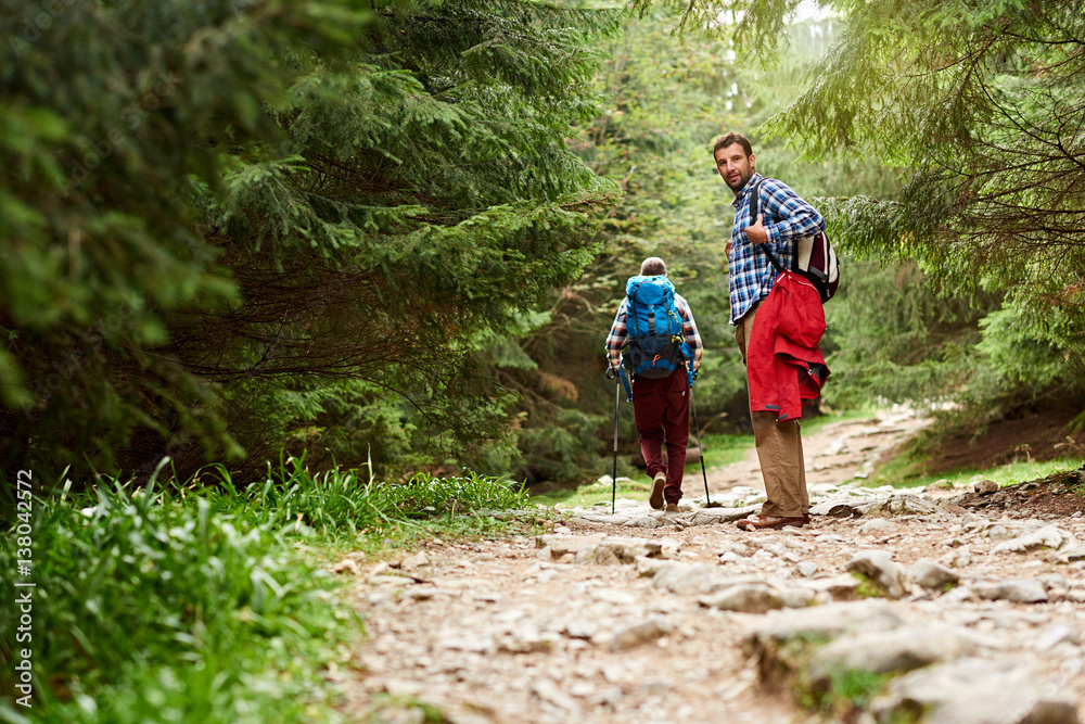 Hikers walking on a forest trail in the wilderness Hikers walking on a forest trail in the wilderness