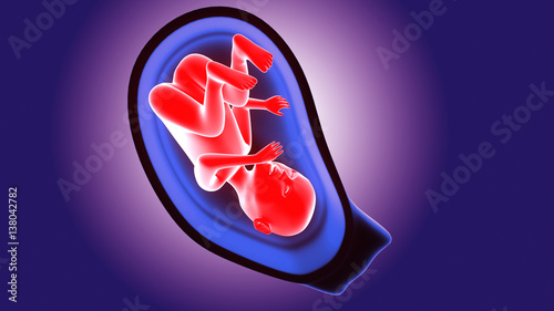 pregnant woman with visible fetus - week 36
 photo