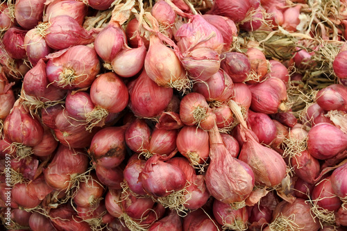 shallot or red onion background