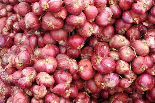 shallot or red onion background