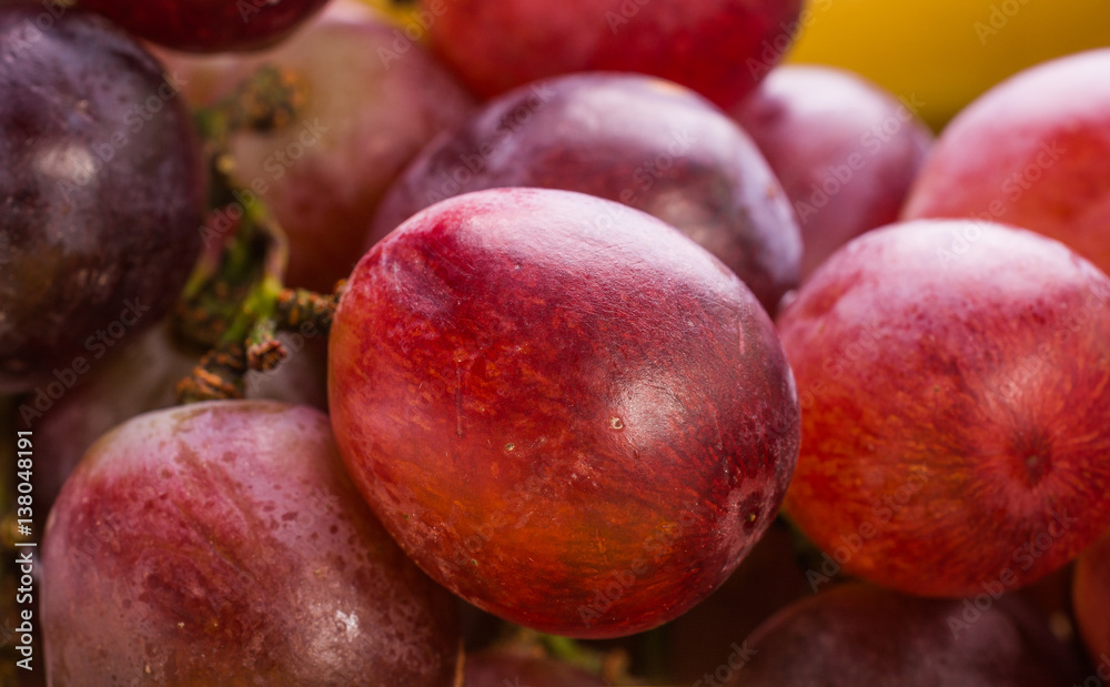 Obraz premium Still life