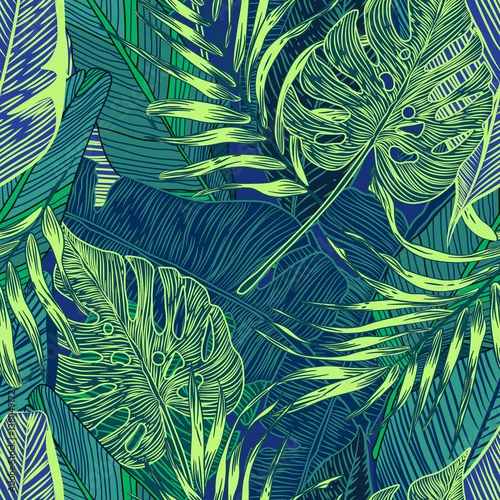 Tapety rośliny tropikalne