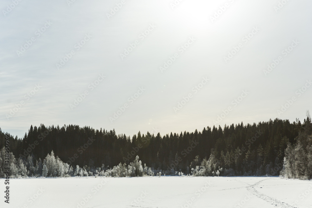 Winter field landscape with the frosty trees lit by soft sunset light - snowy landscape scene in warm tones with snow covered field and trees covered with frost Winter field landscape with the frosty trees lit by soft sunset light - snowy landscape scene in warm tones with snow covered field and trees covered with frost