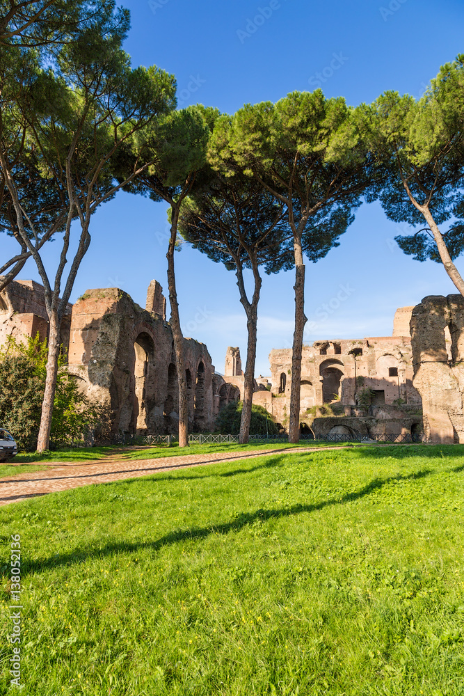 Rome, Italy. The ruins of the term and the arcades of Septimius Severus in a picturesque park on the Palatine hill