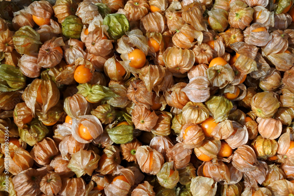 Gooseberry background texture Gooseberry background texture