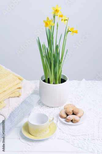 Fototapeta Naklejka Na Ścianę i Meble -  Indoor table setting. Narcissus flower in a pot with knitted sweaters.