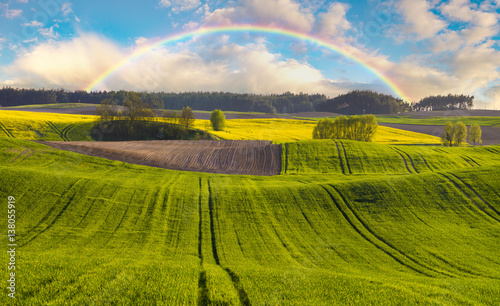 rainbow over the cultivated field