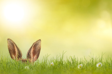 Frohe Ostern