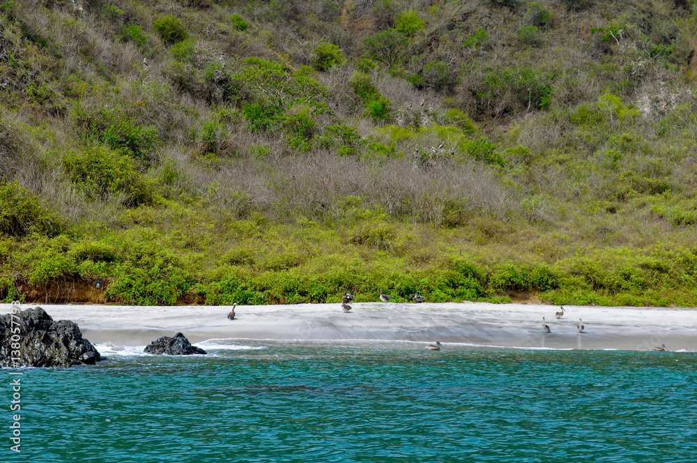 Fototapeta premium Tropical beach in Puerto Lopez, Ecuador