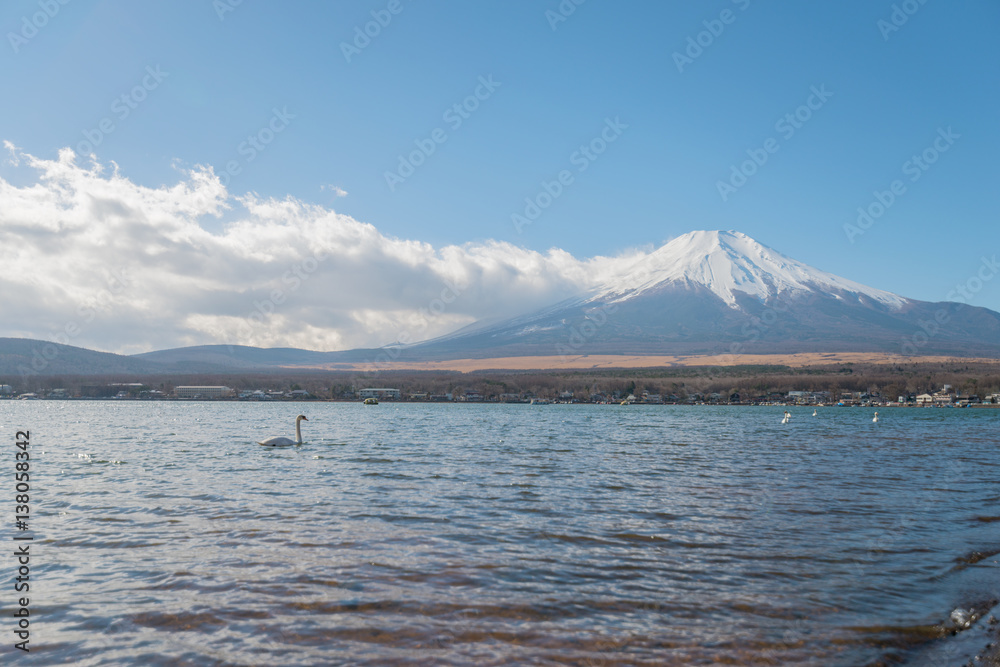 Mount fujisan in morning at lake yamanaka  with swan