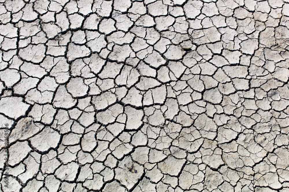 Cracked soil Cracked soil