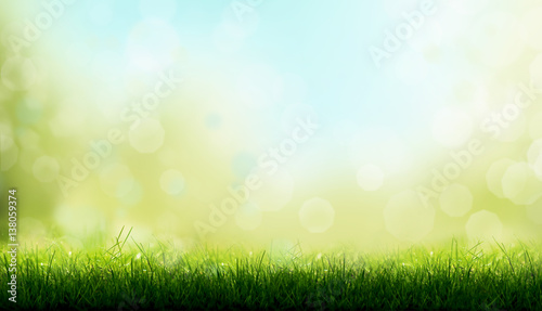 Blades of Green Grass with a blurred bokeh sky blue and green garden foliage background.