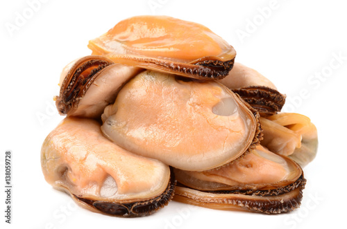mussels on a white background