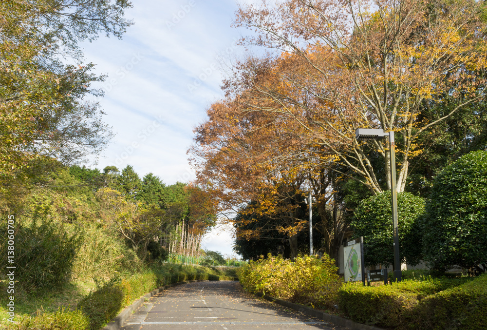 Naklejka premium The footpath of Ashitaka Athletic Park