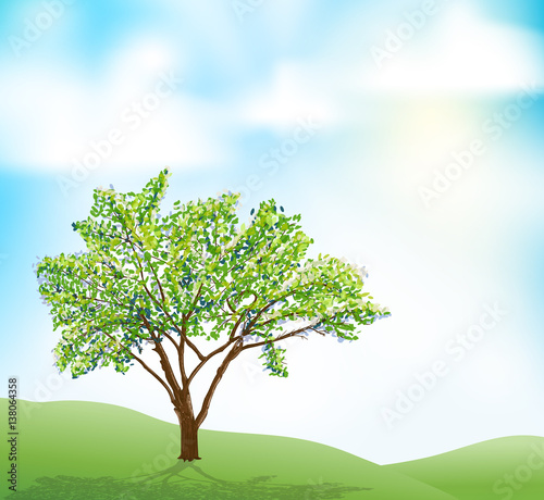 a tree on hill and blue sky with clouds illustration. vector