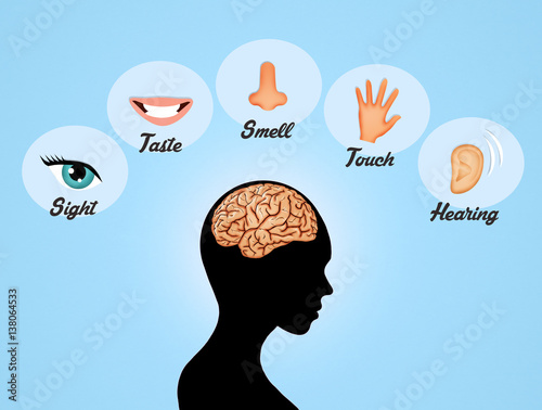 Foto the five senses