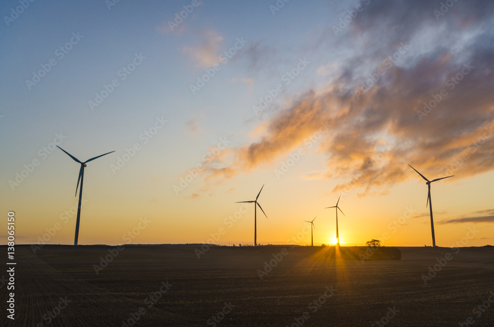 windmills at sunrise on a spring field