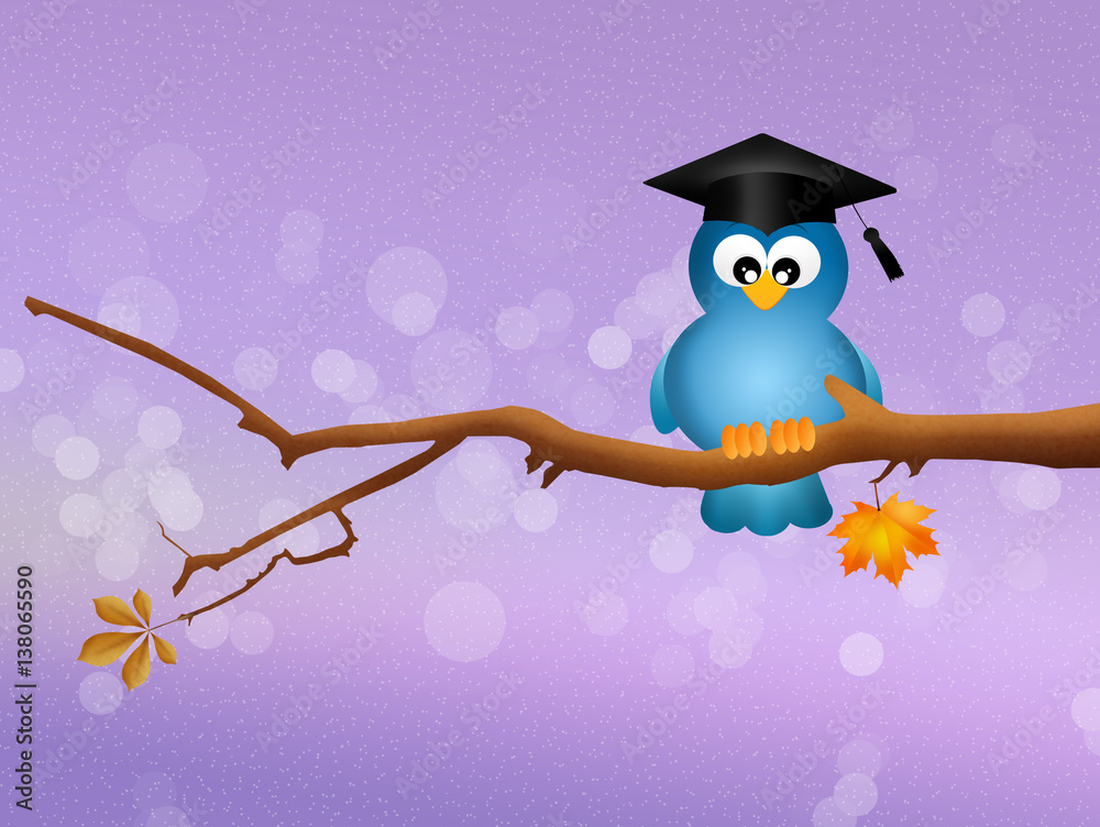 Fototapeta premium bird graduate