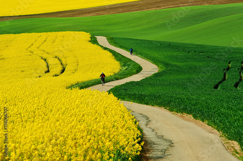 Photos Bicycles in south moravia, road with fields and rape