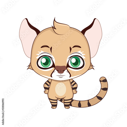 Cute stylized cartoon pampas cat illustration ( for fun educational purposes, illustrations etc. )