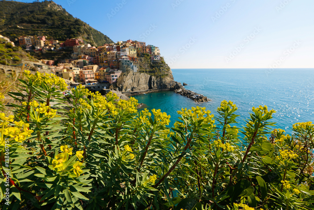 Coast with houses in Italy