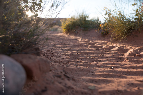 Walking the dune