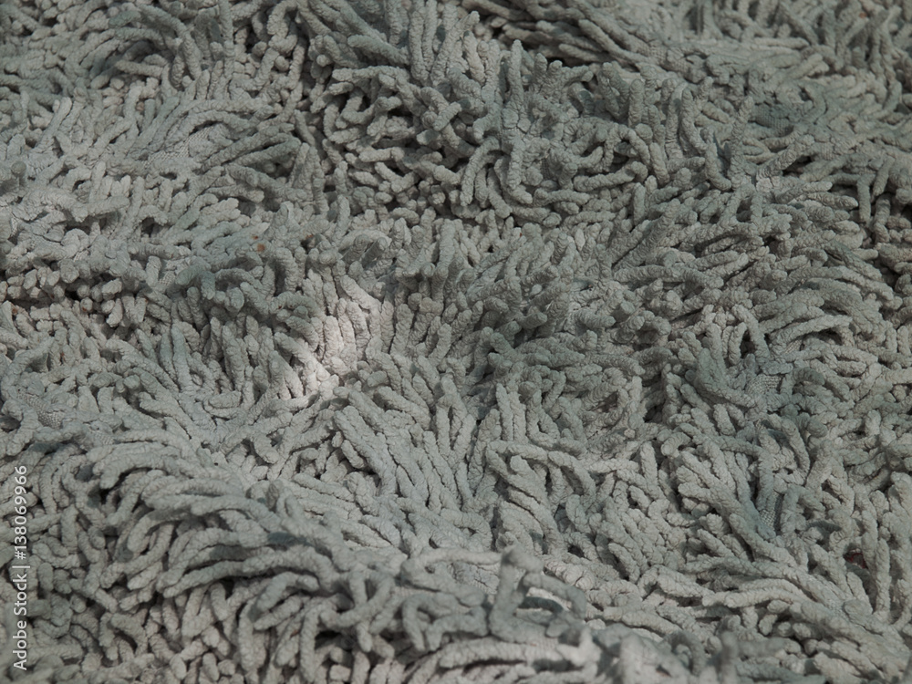 Fototapeta premium Doormat Texture and Background