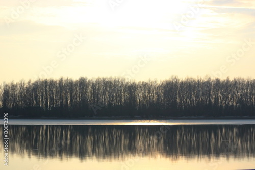 Trees on bank of Danube river in winter haze. Silhouettes of trees on river bank at sunset. Beautiful landscape over river on clear winter day.