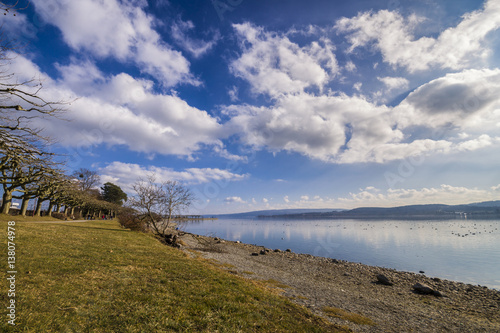 Seeufer Bodensee im Frühling mit blauen Himmel und schöner Wolkenpracht
