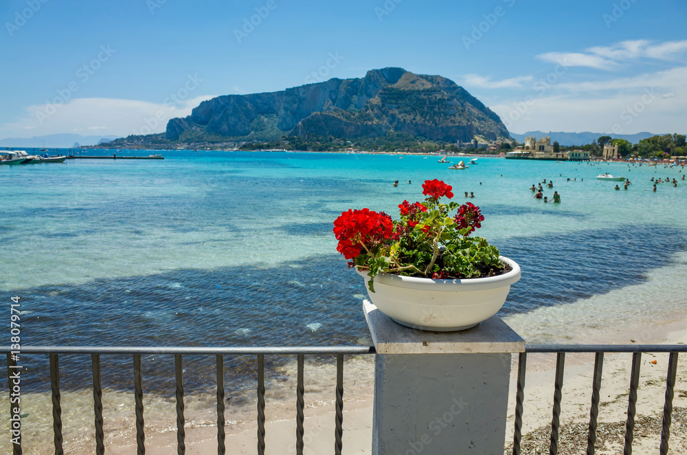 Red flowers in front of Mondello beach near Palermo, Italy