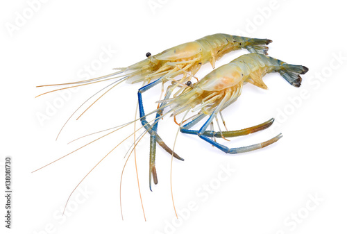 raw prawns shrimps isolated on white background