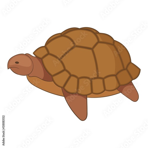 Turtle icon, cartoon style