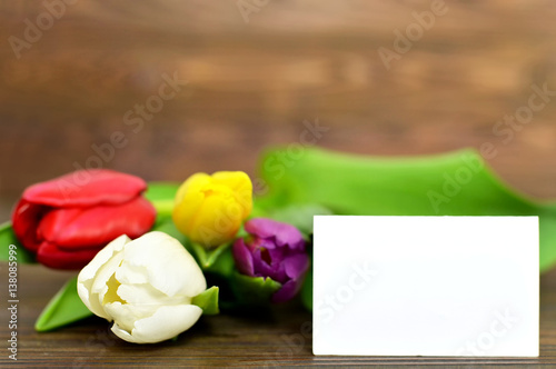 Fototapeta Naklejka Na Ścianę i Meble -  Blank greeting card with colorful tulips
