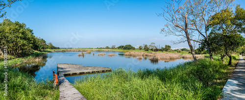 Wetland near city photo