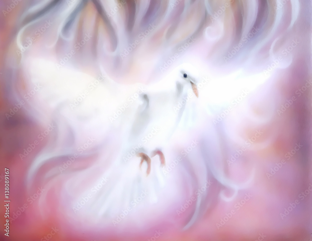 Dove Abstract Wallpaper