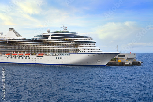 Luxury Cruise Ship in Port