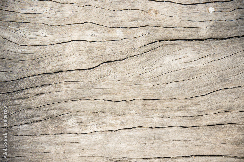 Texture wood oak older style, background wooden old dirty Texture wood oak older style, background wooden old dirty